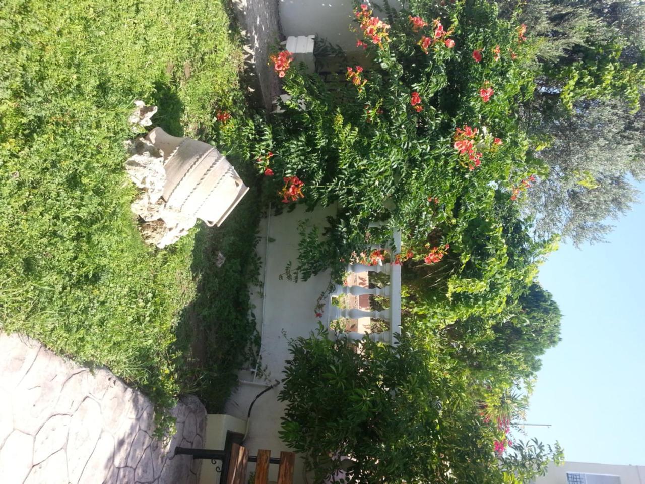 Faliraki Mike'S House Hotel Zewnętrze zdjęcie